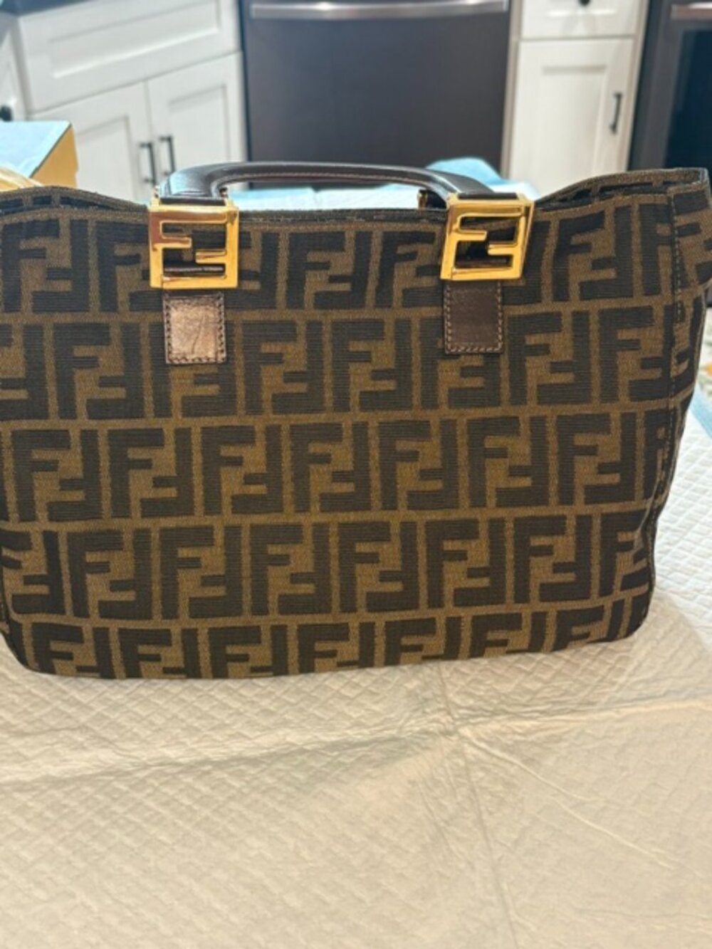 Fendi Purse
